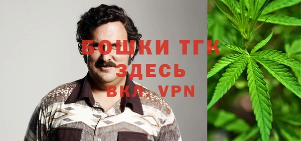 бошки Белокуриха