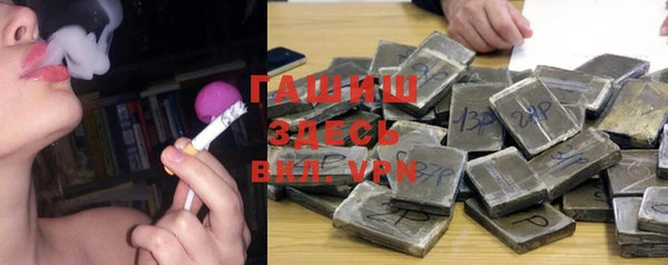 бошки Белокуриха