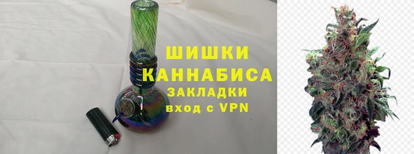 бошки Белокуриха