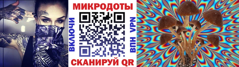 kraken ссылки  Славгород  Галлюциногенные грибы Magic Shrooms 
